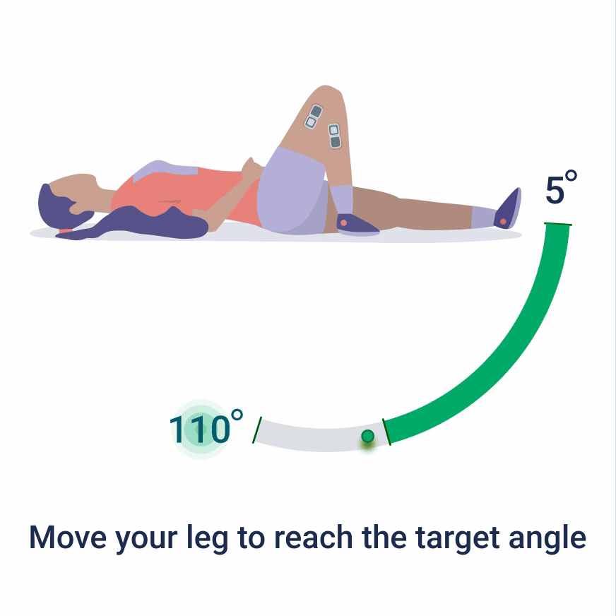 Animation of the avatar guiding a knee exercise